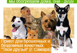 Зооприют Самара